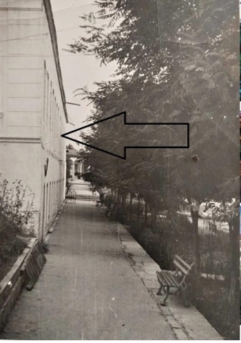 659be49834beb925531412.jpg