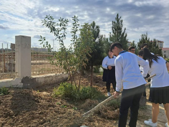 “Yaşıl dünya naminə həmrəylik ili”çərçivəsində ağacəkmə aksiyası təşkil olunub