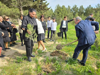 “Yaşıl dünya naminə həmrəylik ili”çərçivəsində ağacəkmə aksiyası təşkil olunub