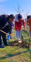 “Yaşıl dünya naminə həmrəylik ili”çərçivəsində ağacəkmə aksiyası təşkil olunub