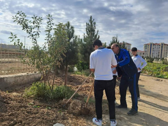 “Yaşıl dünya naminə həmrəylik ili”çərçivəsində ağacəkmə aksiyası təşkil olunub