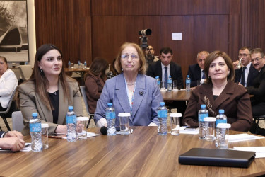 “Gender məsələləri üzrə məsul şəxslərin fəaliyyətinin təkmilləşdirilməsi və effektiv koordinasiya” mövzusunda təlim keçirilib