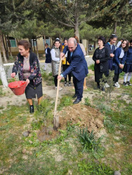 “Yaşıl dünya naminə həmrəylik ili”çərçivəsində ağacəkmə aksiyası təşkil olunub